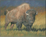 (image for) Prime Time Bison